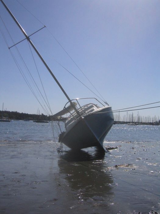 gal/2006-05-05 Careening/IMG_3138.jpg